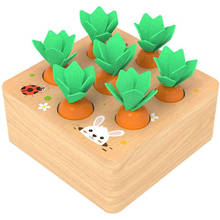 Wooden Toys Baby Montessori Math Toy Set Pulling Carrot Shape Matching Carrots Harvest Shape Sorting Puzzle Cognition Education 2024 - buy cheap