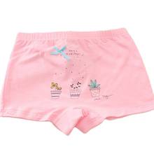 5pc/Lot Girls Soft Flat Angle Baby Pure Cotton Underpant Cure Boxers Underwear for 2 To 12 Y 2024 - buy cheap