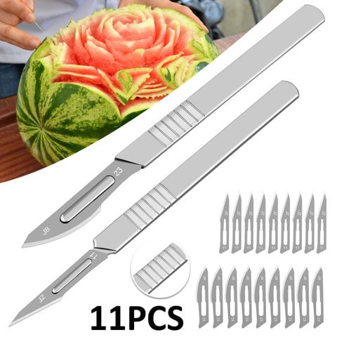 Scalpel Sterile Blades with 10 Replacement Blades Animal Surgical Blade with Handle DIY Cutting Tool for Biology Anatomy Cutting 2022 - buy cheap
