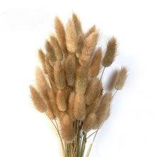 30 stems/lot Natural Plant Dried Flower Bunny Tail Bouquet Rabbit Tail Grass Fall Decor Party Home Decoration Accessories Floral 2024 - buy cheap