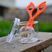 Детское школьное растение, набор инструментов для изучения биологии насекомых, пластиковые ножницы, милая игрушка для изучения природы 2024 - купить недорого