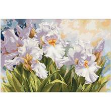 White iris patterns Counted Cross Stitch 11CT 14CT 18CT DIY Chinese  Cross Stitch Kits Embroidery Needlework Sets 2024 - buy cheap