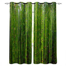 Cortinas de ventana de planta de bambú verde, Panel de decoración para el hogar, dormitorio, cocina, sala de estar 2024 - compra barato