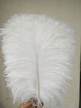 ZP factory-Decoración de plumas para boda, 45 ~ 50 cm (18 ~ 20 pulgadas) de largo, 500/lote, avestruz grande, blanco 2024 - compra barato