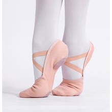 Adulto elástico pano ballet sapatos de dança dois-sola gato garra prática dança ultra-estiramento sola macia masculino e feminino dança chinelo 2024 - compre barato
