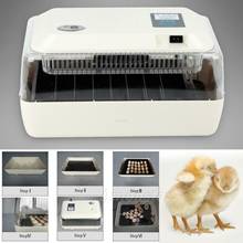 Автоматическая машина для разведения, инкубатор для 24 яиц с цифровым дисплеем, сигнализацией температуры для вспышки яиц, цыплят, перепелов, птицы 2024 - купить недорого