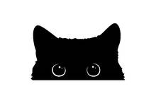 Hot Car Sticker Accessories Poor Cat Is Stealing with Big Eyes Watch Styling Cover Window Truck Camper Guitar Waterproof Decals 2024 - buy cheap