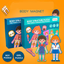 Body Structure 3D Puzzles Science Help Children Understand Body Structure Teaching Human Cognitive Puzzles Wood Educational Toys 2024 - buy cheap