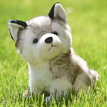 Huskies-Muñeca de perro de juguete de simulación, perro blanco, regalo de cumpleaños, chica 2024 - compra barato