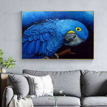 Abstracto arara pintura a óleo aquarela animais posters da lona cópias papagaio arte da parede fotos para sala de estar decoração casa cuadros 2024 - compre barato