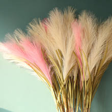 100 см дикий reed филиал небольшой пампасной травы Phragmites растения искусственные, свадебные букет для домашнего декора искусственные цветы 2024 - купить недорого