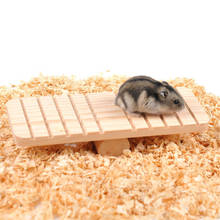 Engraçado natural de madeira animal estimação hamster seesaw brinquedo exercício cobaias ratos chinchilas interativo brinquedo seguro pequeno suprimentos animais 2024 - compre barato