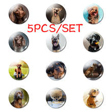 5PCS/SET Fashion Handmade Dog Animal Pet 25 MM Glass Cabochon Dome Jewelry Making Pendant Necklace DIY Love Pet Women Men Gift 2024 - buy cheap