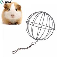 Pets Grass Feeding Ball Stainless Steel Electroplated Round Grass Collecting Ball For Feeding Chinchilla Rabbit Guinea Pig 2024 - buy cheap