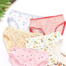 Hot Sale 6 Pcs/lot Baby Kids Girls Underwear Briefs Panties Short Colorful Panties Children Cotton Briefs Tnn0001 2024 - buy cheap