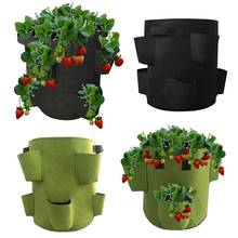 2PCS Strawberry Grow Bags for Plant Hanging Plant Grow Pots Felt  Planting Bag Vegetable Fruit Plant Bags Garden Tools 2024 - buy cheap