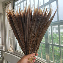 Wholesale 100pcs/lot Natural Pheasant Feathers For Crafts 50-55cm/20-22 Inch Celebration Carnival Decoration Performance Plume 2024 - buy cheap
