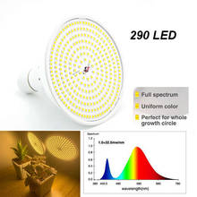 Lâmpada de led com espectro completo para plantas, lâmpada e27 para crescimento de plantas, vegetal, luz solar verde hidroponia, lâmpada phyto 290 2024 - compre barato