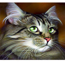 Pintura por número 40x50 50x65cm arte de parede fofa de gato pequeno animal presente fotos por números kits de tela decoração de casa 2024 - compre barato