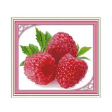 Wild strawberry cross stitch kit 14ct 11ct count print canvas stitching embroidery DIY handmade needlework 2024 - buy cheap