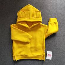 Outono inverno moda meninos meninas roupas crianças hoodies de algodão moletom para crianças casual roupas esportivas do bebê da criança 2024 - compre barato