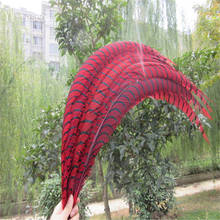 10pcs 32-36 inch/80-90cm Red natural Lady Amherst Pheasant Feather pheasant feathers for carnival party costumes decoration 2024 - buy cheap