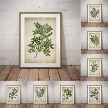 Póster Vintage botánico de hojas verdes, lienzo impreso para pared de cocina, imágenes artísticas, pintura Retro, carteles de plantas, decoración del hogar y sala de estar 2024 - compra barato