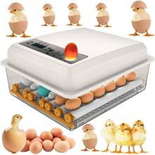 Incubadora automática de aves de corral, herramientas de incubación de 36 huevos, codorniz, 110/220V 2024 - compra barato