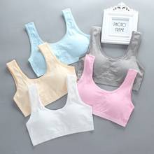 5pc/Lot Teens Girls Sports Bra Puberty Underwear Wireless Teenager Chest Pad Cotton Young Training 2024 - buy cheap