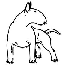 Bull terrier cão engraçado estilo do carro adesivo automóveis motocicletas acessórios exteriores decalque do vinil para lada bmw audi 2024 - compre barato