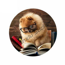 Pomeranian Dog Reading Book Creative Car Sticker DIY Anime Fashion Occlusion Scratch SUV Decals Car Decoration KK13*13cm 2024 - buy cheap