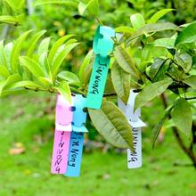 100pcs Plant Garden Labels Plastic Plant Tags Waterproof Plants Hang Tag Hanging Plant Labels Seedings Tags Gardening Labels 2024 - buy cheap