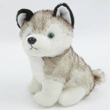 Husky doll plush toys simulation  animal dog  children's birthday present NTDIZ0138 2024 - buy cheap