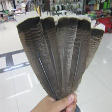 wholesale 10-100 Pcs high quality natural Eagle feathers  25-30cm Selected Prime Eagle bird feathers diy jewelry decoration 2024 - buy cheap
