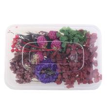 1 Box Real Mix Dried Flowers for Aromatherapy Candle Resin Jewellery Dry Plants Pressed Flower Making Craft DIY Accessories 2024 - buy cheap