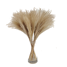 Free Shipping,Pampas Grass Decor,Fluffy Reed, Wedding Decor,Flower Bunch,Dried Pampas Home Decore  Office Decor Fall Decor 2024 - buy cheap