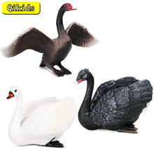 New Farm Wild Model Simulation Black Swan White Swan Action Figures Bird Animals Eagle Figurine Miniature Lovely Kids Toys Gifts 2024 - buy cheap