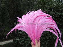 30-35cm /12-14 inch pure Pink Rooster tail feathers Chicken feathers cock tail feather Rooster Tail Coque Feathers 10pcs 2024 - buy cheap