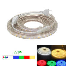 Tira de luces LED de 220V de CA, 5050 RGB SMD, tubo de silicona impermeable, 1/2/3/4/5/6/7/8/9/10/12/15/20m, RGB, blanco 60LED/m + Enchufe europeo 2024 - compra barato