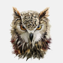 Sharp Eyes of The Owl Car Sticker Automobiles Motorcycles Exterior Accessories PVC Decals,16cm*12.8cm 2024 - buy cheap