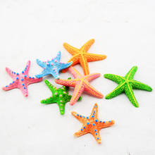 1Pc 5cm 9cm Simulation Starfish Aquarium Ornament Natural Sea Stars DIY Fish Tank Decoration 2024 - buy cheap