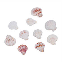 Conchas marinas de estilo mediterráneo para decoración de pecera, conchas naturales de mar, manualidades, 10 unidades 2024 - compra barato