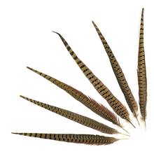 Wholesale 18-20 Inch(45-50CM) Natural Pheasant Tail Feathers Hair Extension Centerpieces Wedding Decorations DIY Feather plumes 2024 - buy cheap