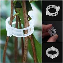 Plastic Plant Support Clips For Tomato Hanging Trellis Garden Ornaments Twine Greenhouse Vegetables Plant Grafting Clips A330 2024 - buy cheap