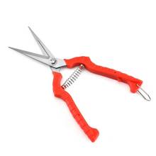 Stainless Steel Gardening Scissors Pruning Shears Gardening Tools 2024 - buy cheap