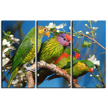 HD Printed 3 Piece Canvas Art Green Parrots On The Tree Wall Pictures for Living Room Modern Free Shipping NY-7379C 2024 - buy cheap