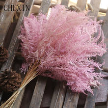 10pcs/lot Eternal Flower Dried Grass Fern Leaves Natural Air-dried Plants Home Bedroom Decorations DIY Layout Immortal Grass 2024 - buy cheap