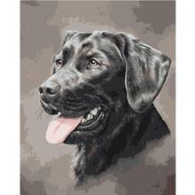 Língua bonitinha de pintura de animais, cão preto diy desenho pintura por números tamanho imagem em decoração de parede presente para crianças 40x50 50 50x 65cm 2024 - compre barato