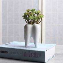 Vaso de cerâmica em formato de dentes, vaso de flores inovador design moderno em cerâmica branca, suculentas para decoração da casa 2024 - compre barato