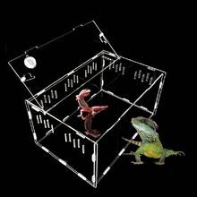 Transparent Acrylic Reptile Box for Spiders Tortoise Lizard Breeding Insect Box Vents Sliding Small Pet Terrarium Vivarium 2020 2024 - buy cheap